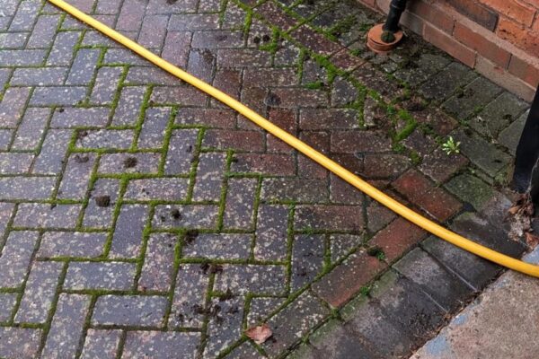 WhatsApp Image 2026-02-17 at 08.52.36 (2)