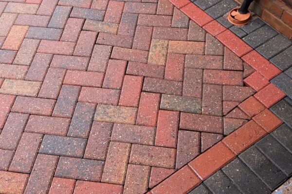 WhatsApp Image 2026-02-17 at 08.52.36 (3)