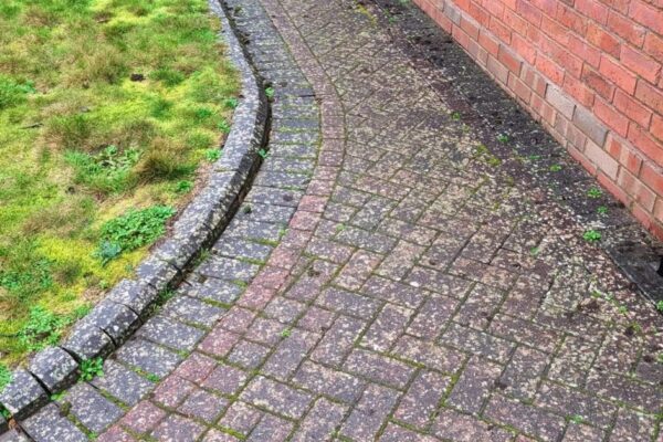 WhatsApp Image 2026-02-17 at 08.52.36 (4)