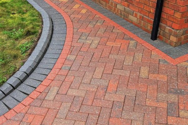 WhatsApp Image 2026-02-17 at 08.52.36 (5)