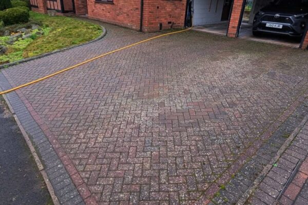 WhatsApp Image 2026-02-17 at 08.52.36