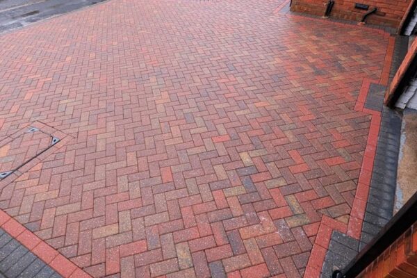 WhatsApp Image 2026-02-17 at 08.52.37 (1)