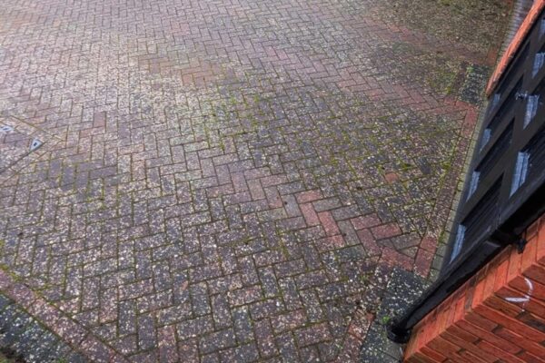 WhatsApp Image 2026-02-17 at 08.52.37