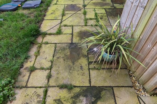 WhatsApp Image 2026-03-12 at 07.14.27