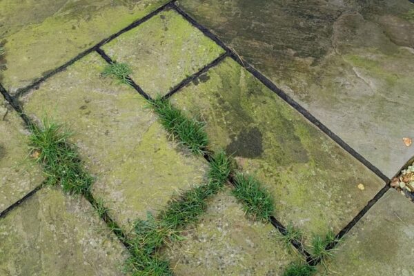 WhatsApp Image 2026-03-12 at 07.14.28 (2)