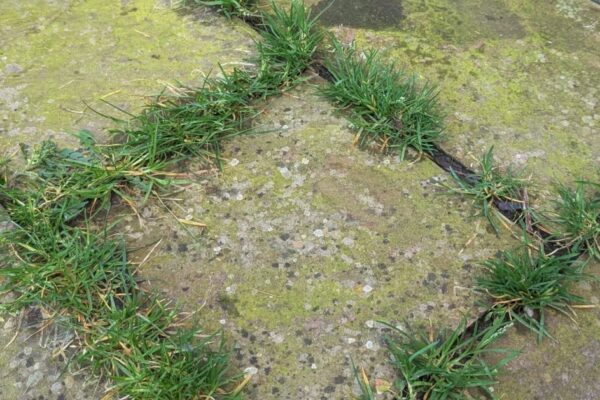 WhatsApp Image 2026-03-12 at 07.14.28